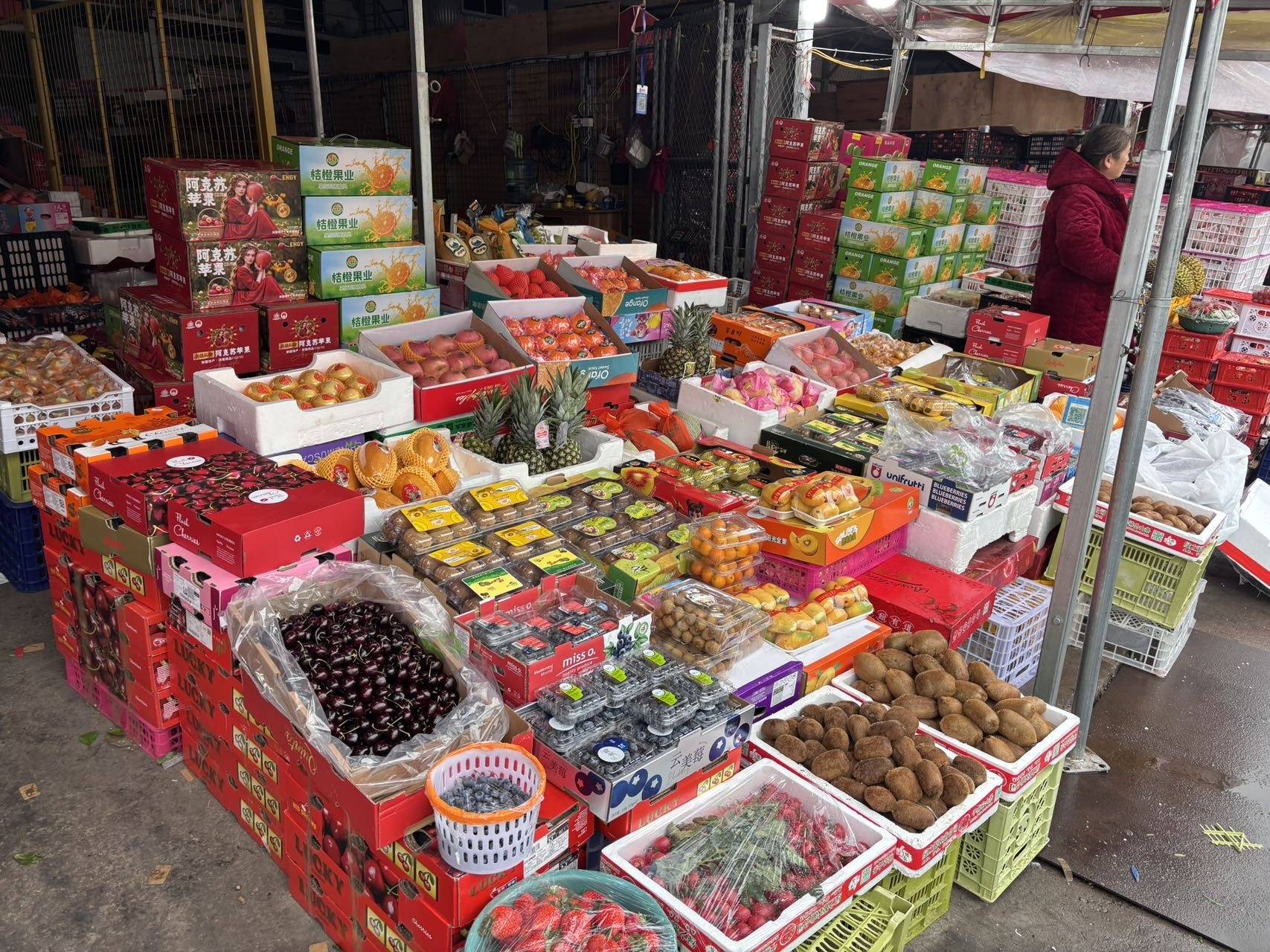 女人与公狍交酡女免费