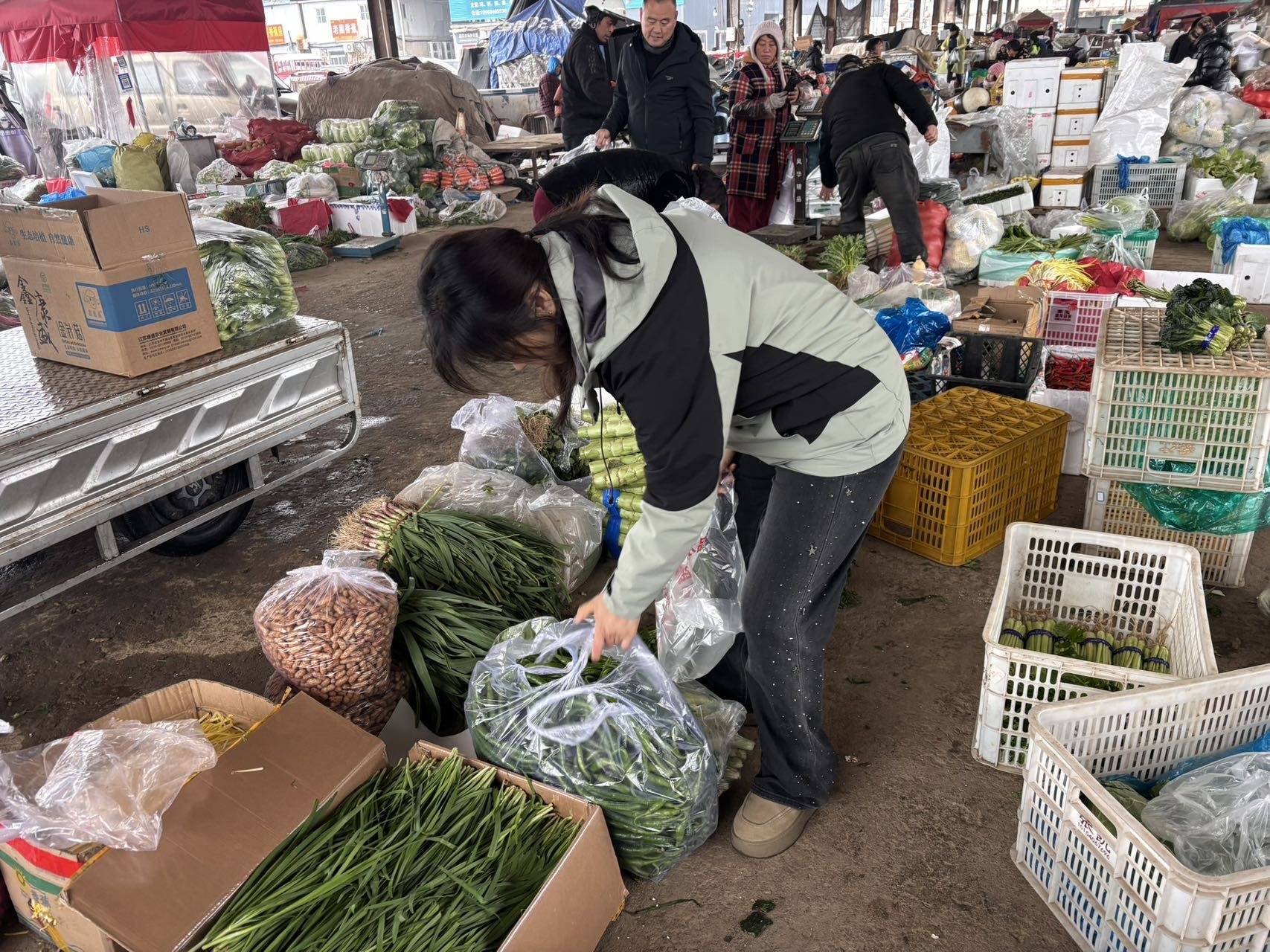 女人与公狍交酡女免费
