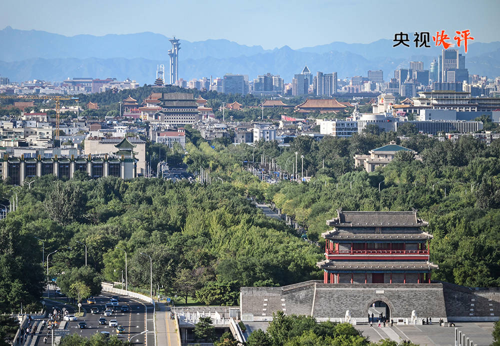 女人与公狍交酡女免费