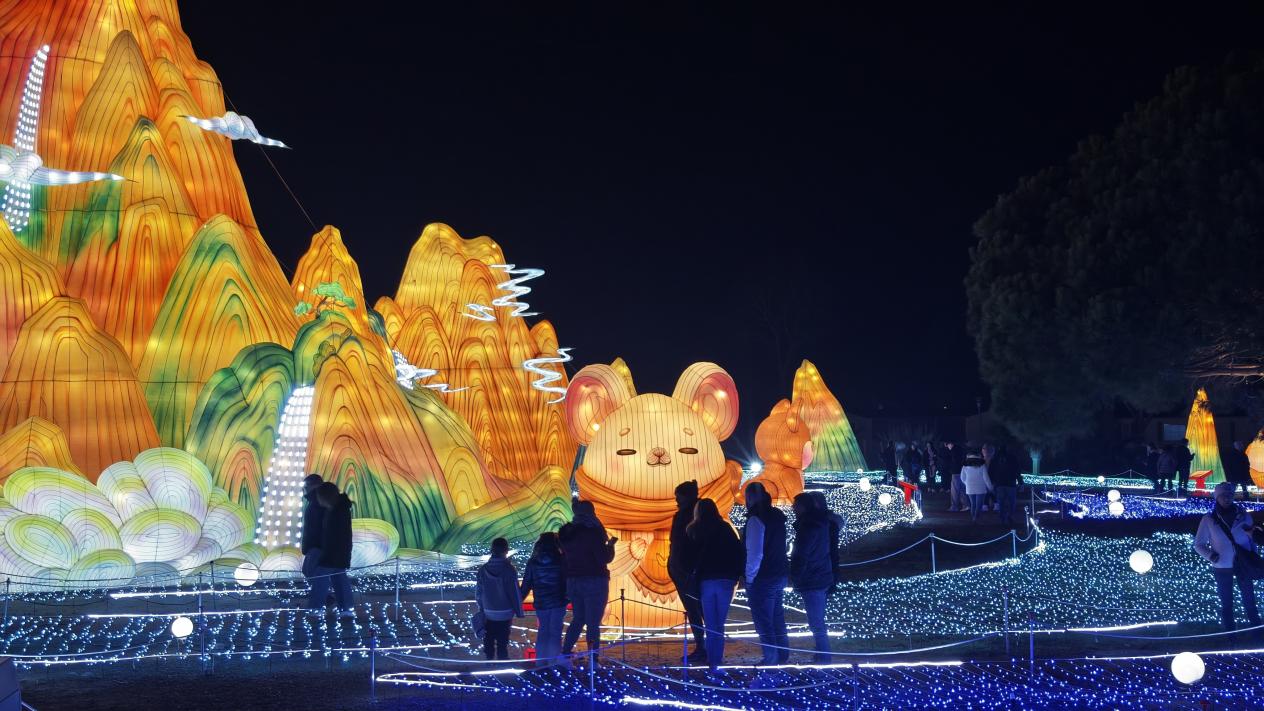 女人与公狍交酡女免费