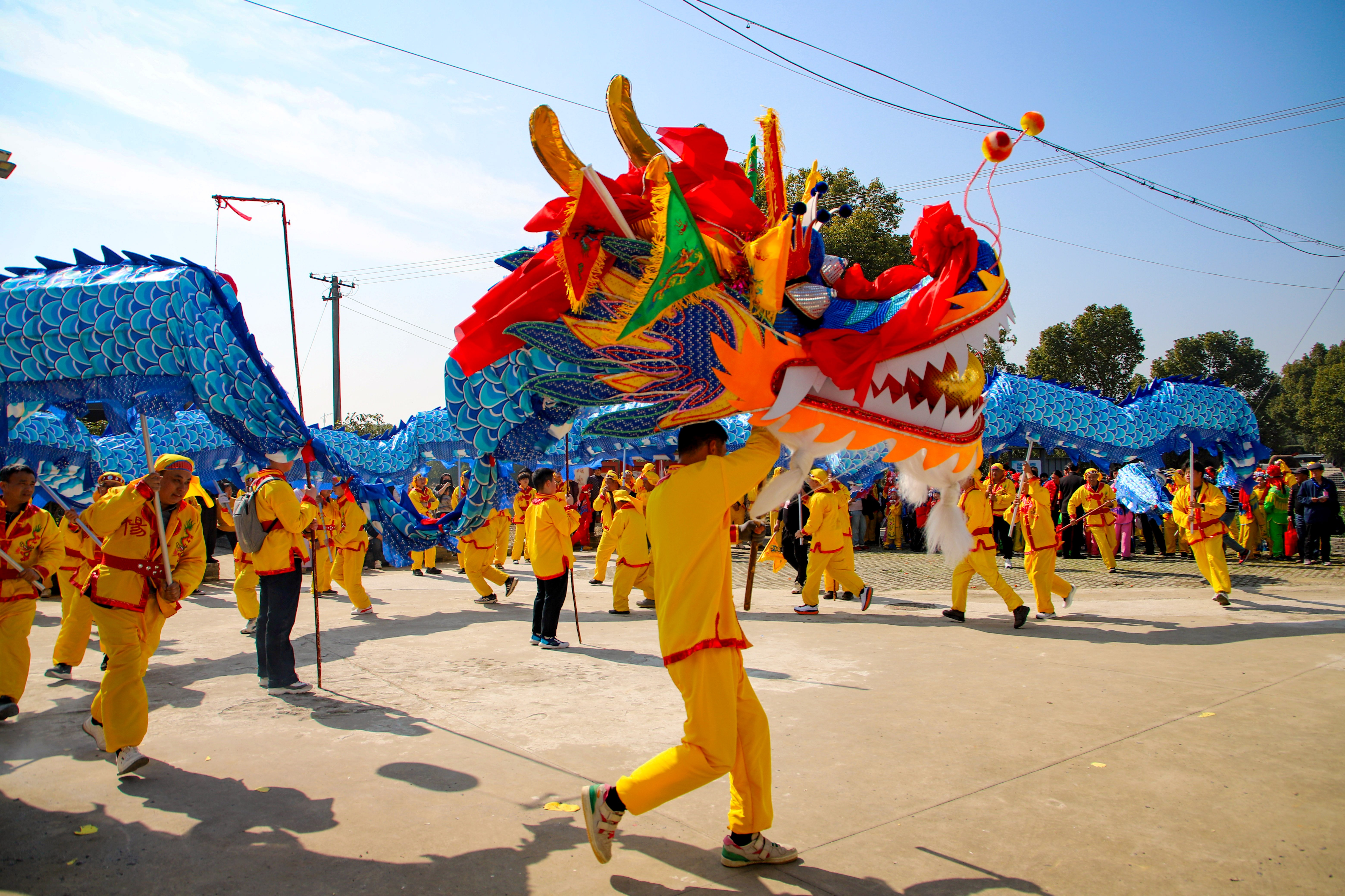 女人与公狍交酡女免费
