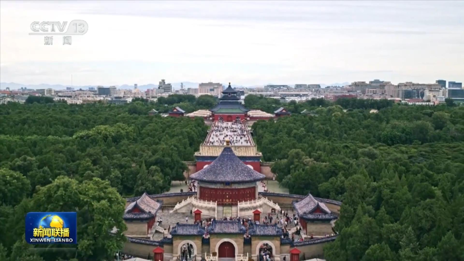 女人与公狍交酡女免费