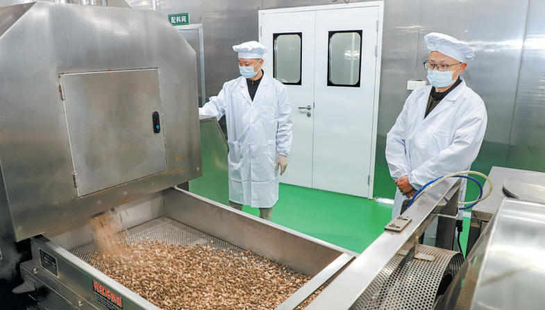 女人与公狍交酡女免费