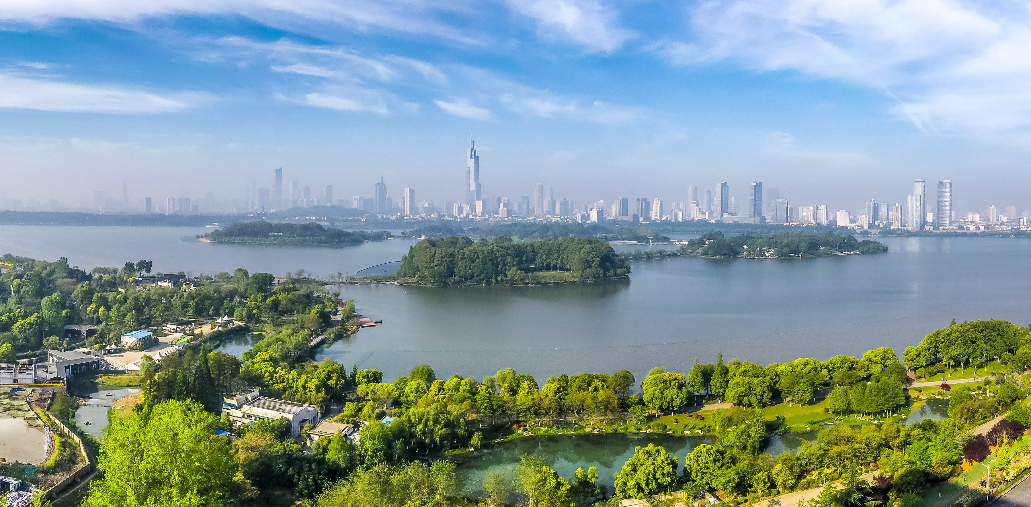 女人与公狍交酡女免费