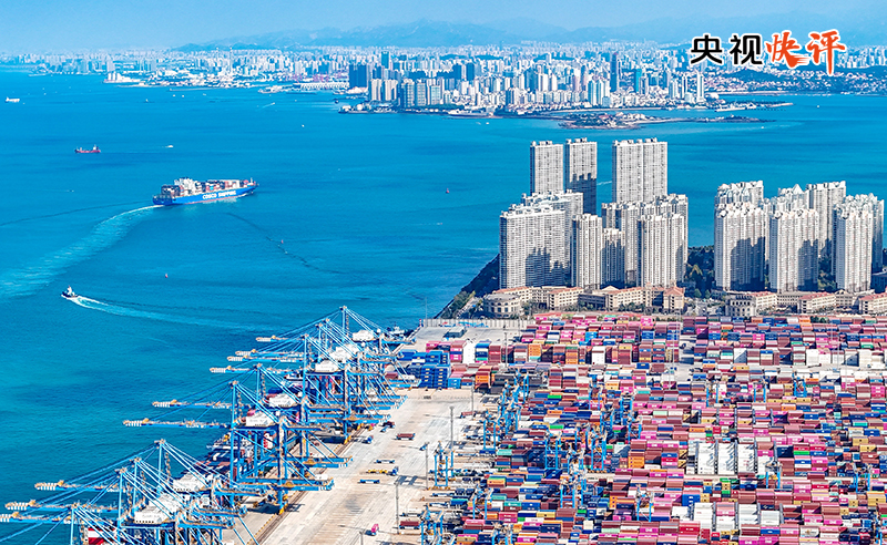 女人与公狍交酡女免费