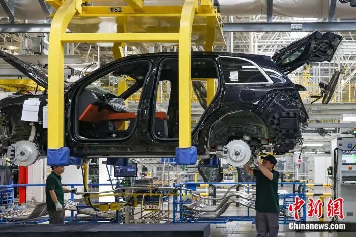 女人与公狍交酡女免费