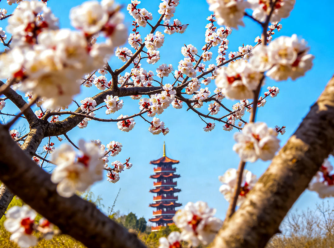 女人与公狍交酡女免费