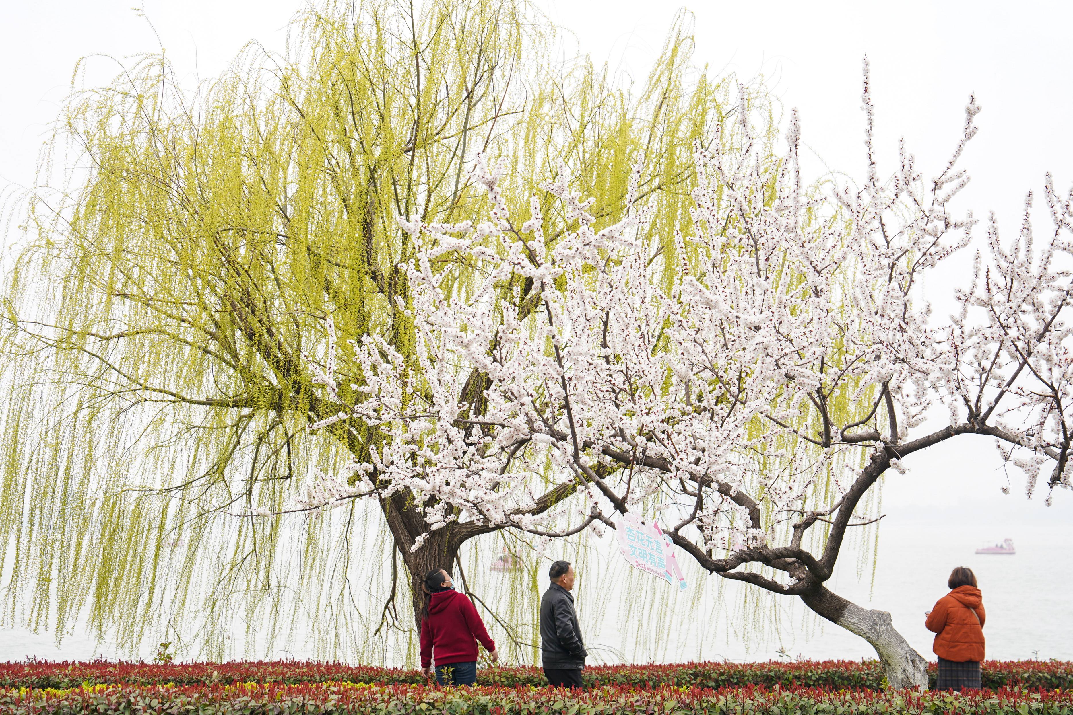 女人与公狍交酡女免费