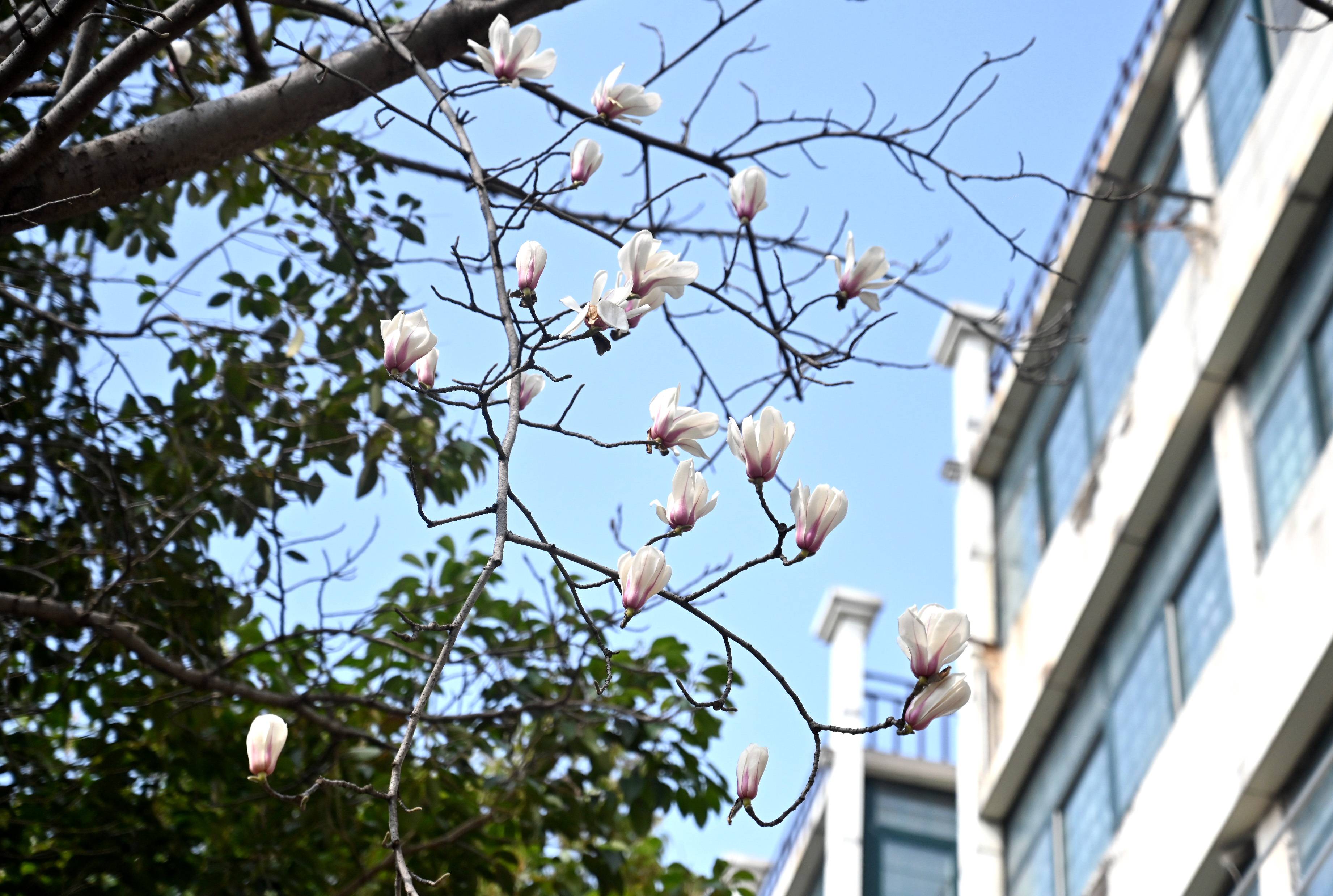 女人与公狍交酡女免费