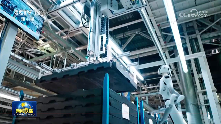 女人与公狍交酡女免费