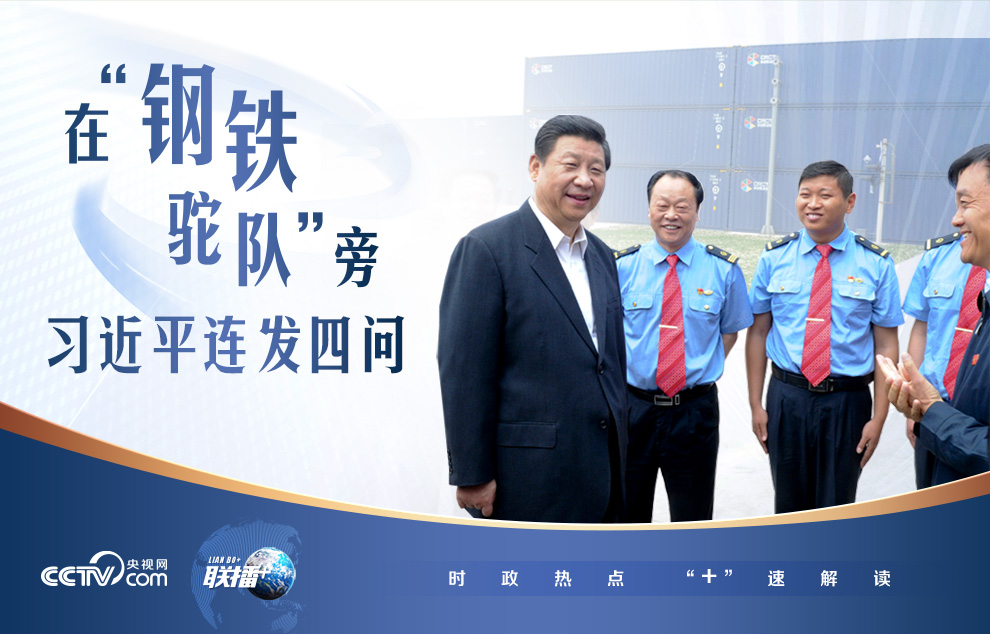 女人与公狍交酡女免费