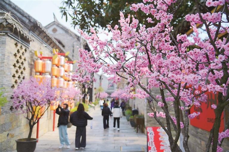 女人与公狍交酡女免费