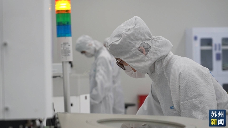 女人与公狍交酡女免费