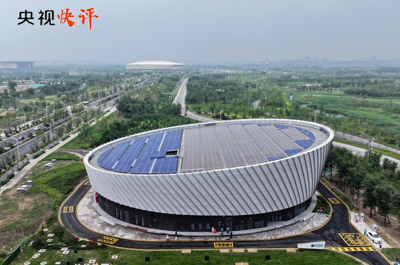 女人与公狍交酡女免费