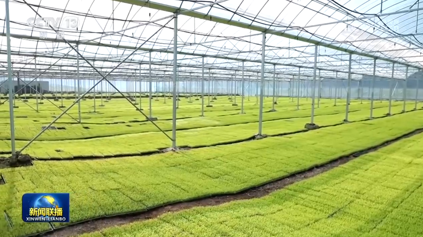 女人与公狍交酡女免费