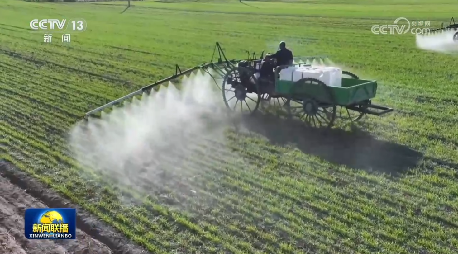 女人与公狍交酡女免费