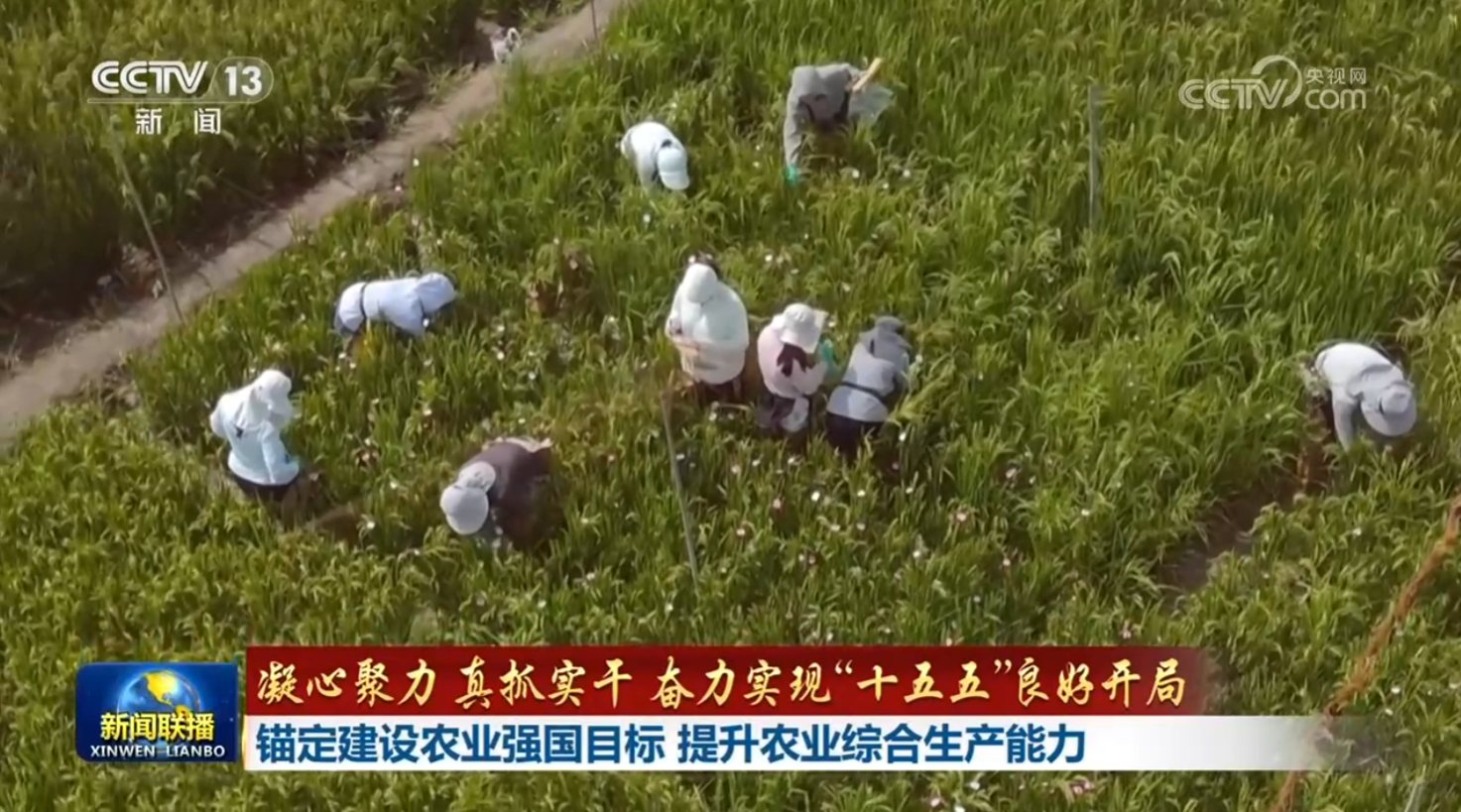 女人与公狍交酡女免费