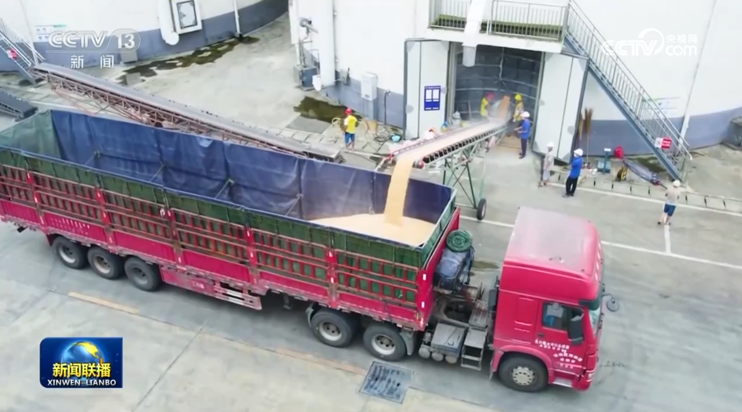 女人与公狍交酡女免费