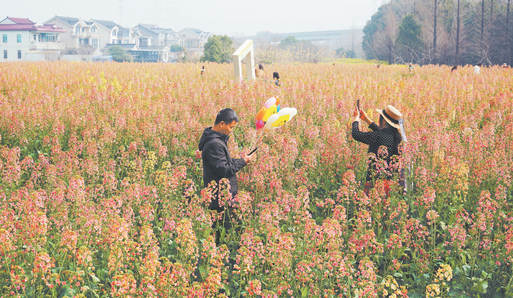 女人与公狍交酡女免费