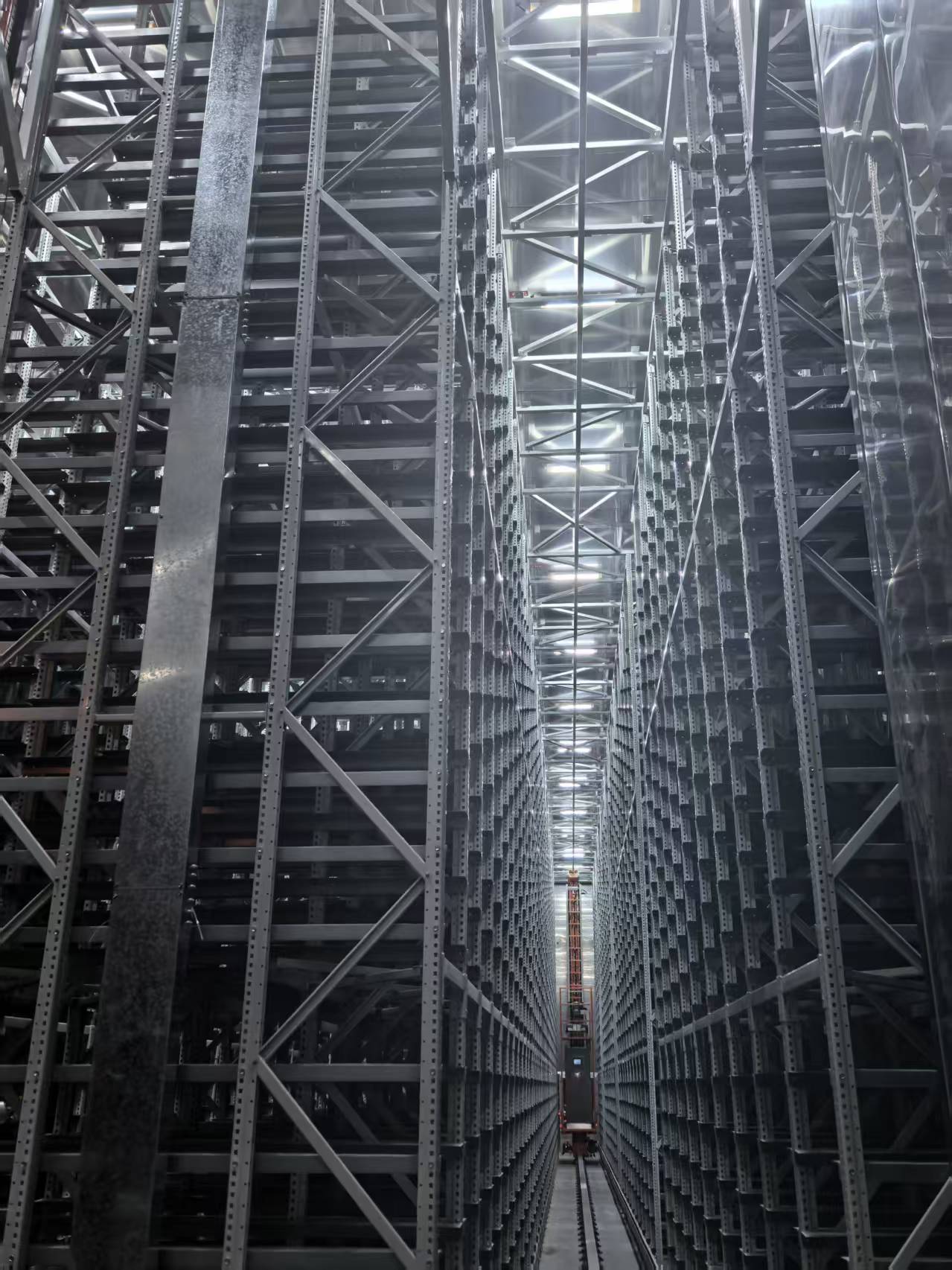 女人与公狍交酡女免费