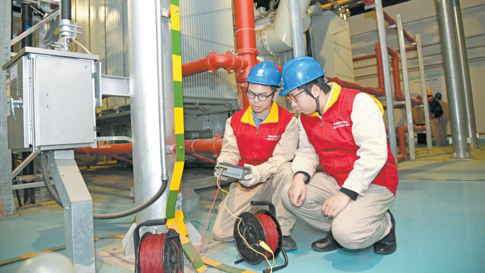 女人与公狍交酡女免费