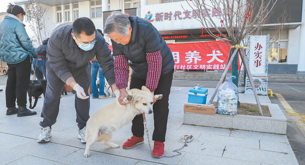 女人与公狍交酡女免费