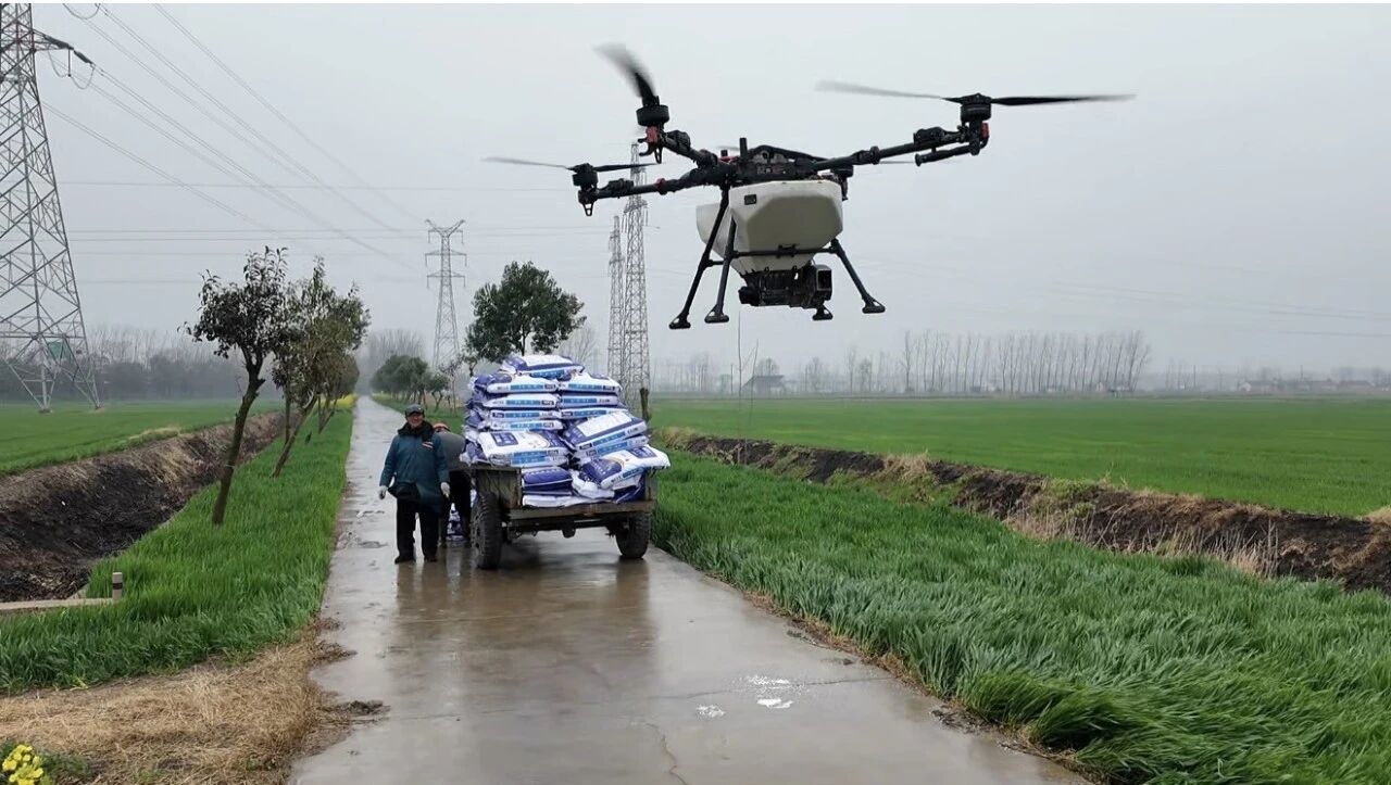 女人与公狍交酡女免费