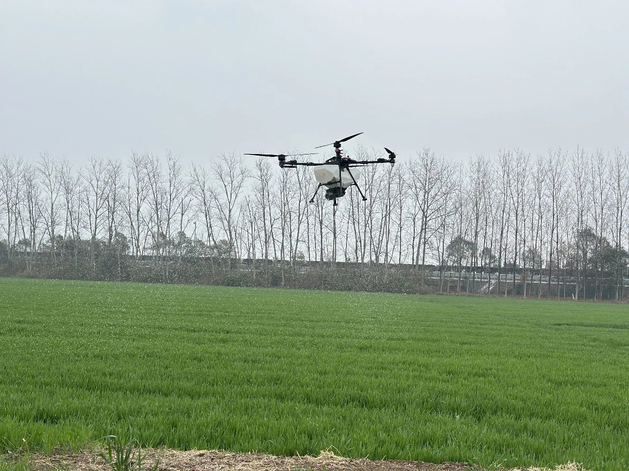 女人与公狍交酡女免费