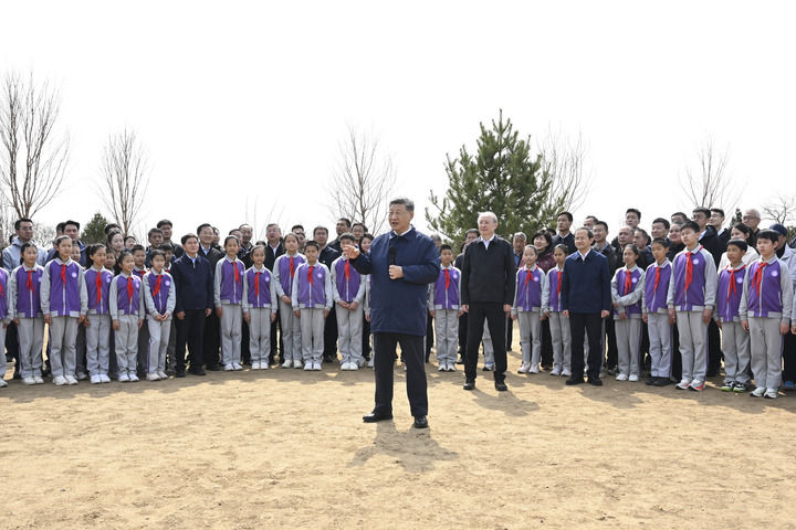 女人与公狍交酡女免费