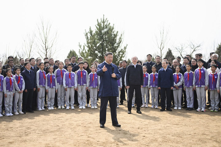 女人与公狍交酡女免费