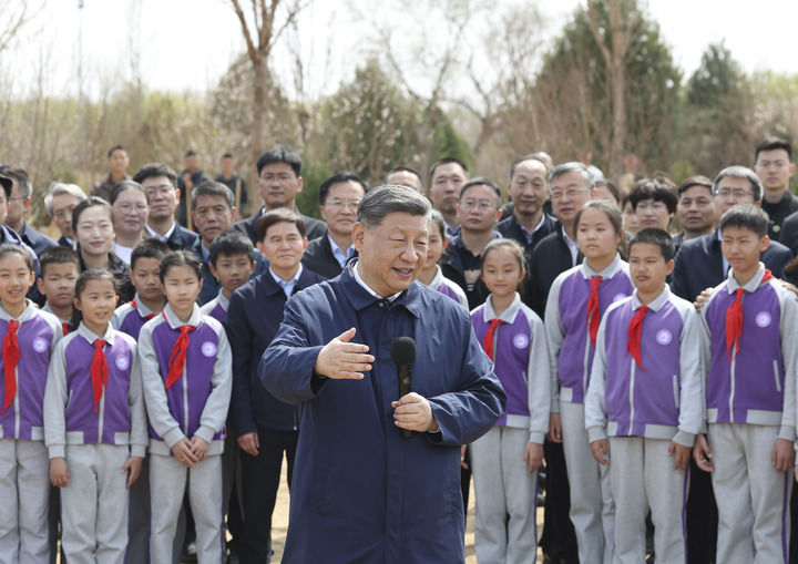女人与公狍交酡女免费