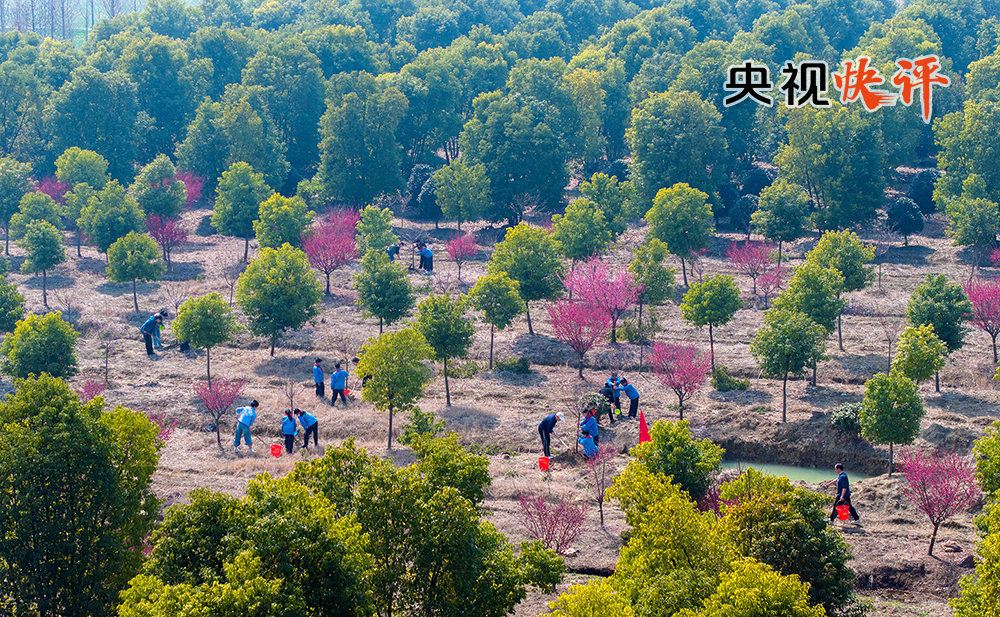 女人与公狍交酡女免费