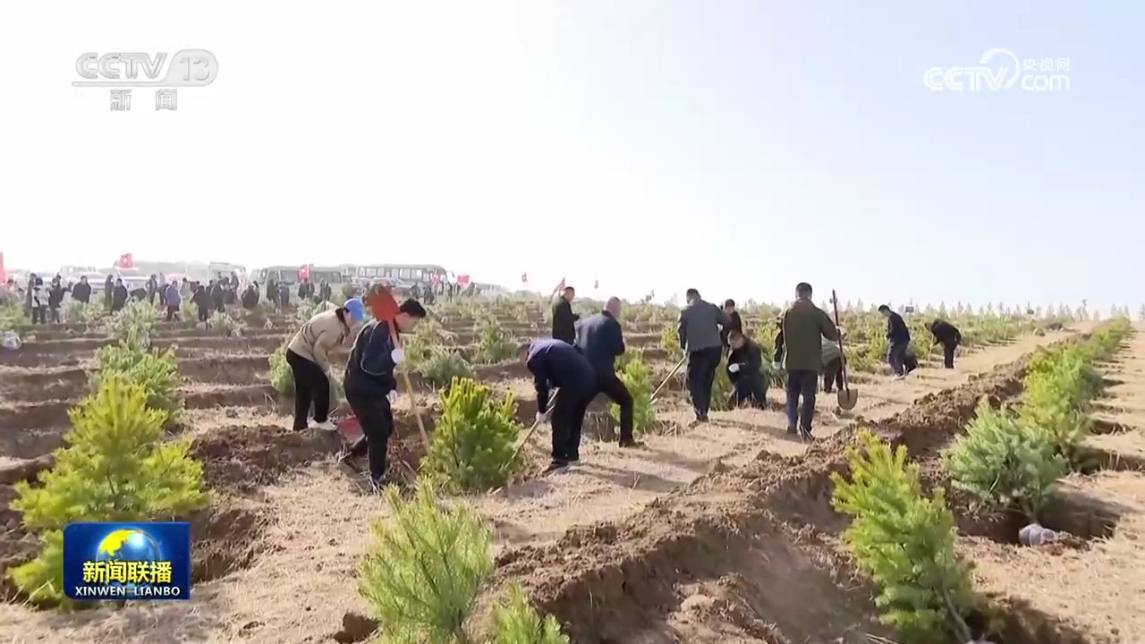 女人与公狍交酡女免费