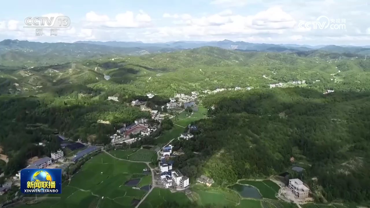 女人与公狍交酡女免费