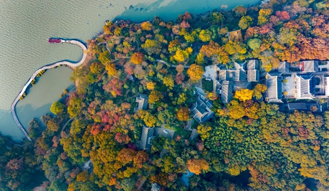 女人与公狍交酡女免费