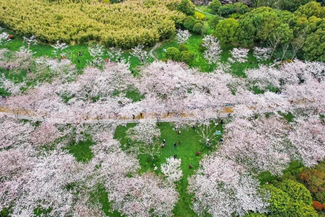 女人与公狍交酡女免费