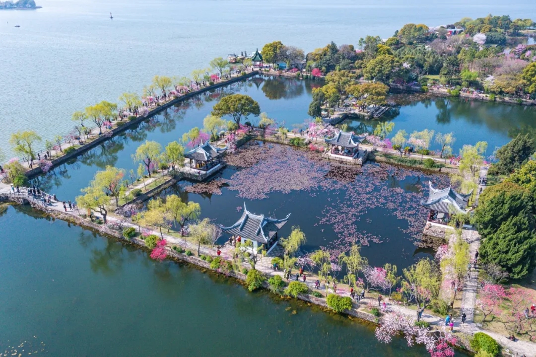 女人与公狍交酡女免费