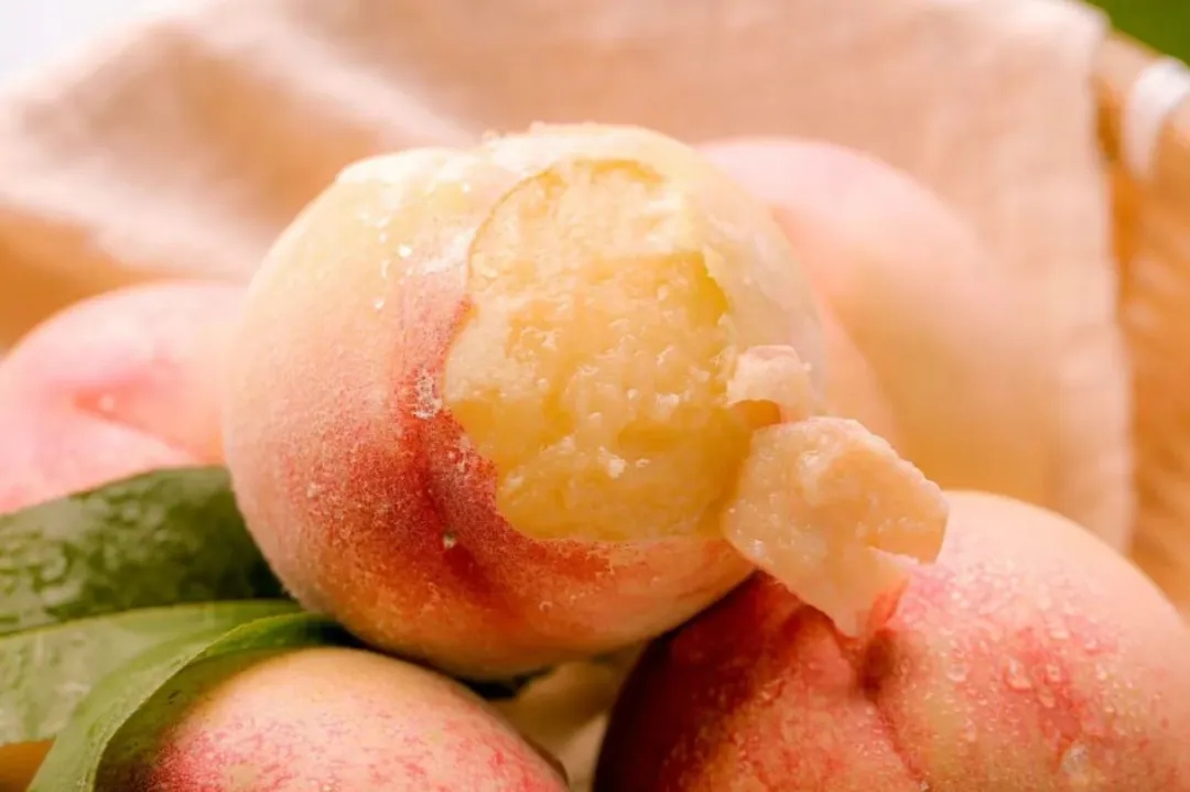 女人与公狍交酡女免费