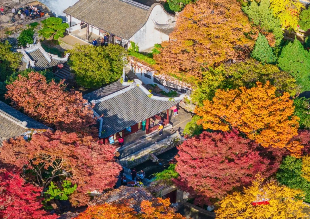 女人与公狍交酡女免费