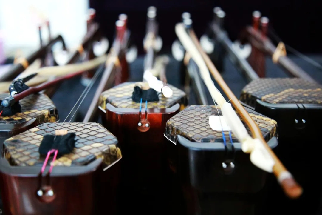 女人与公狍交酡女免费