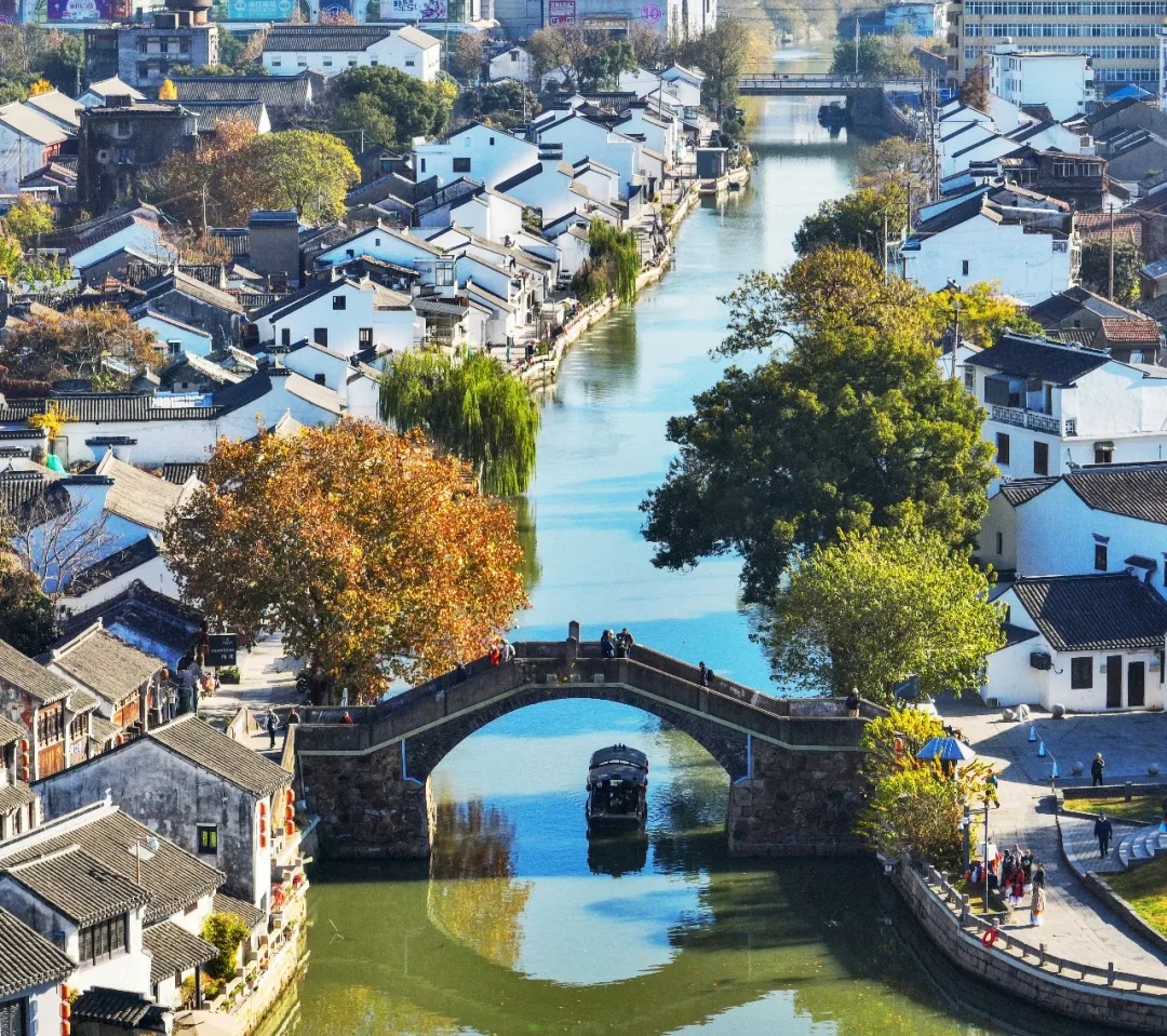 女人与公狍交酡女免费