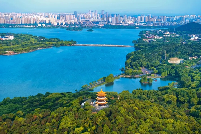 女人与公狍交酡女免费