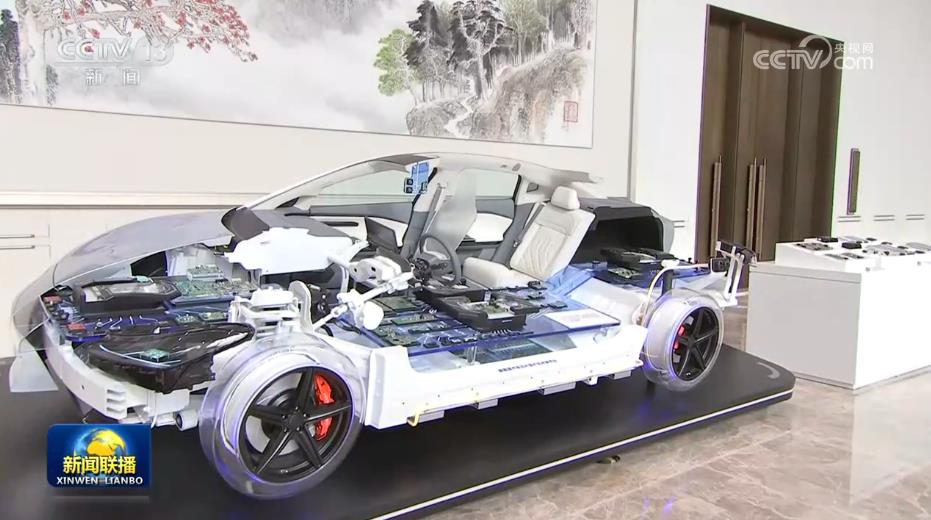 女人与公狍交酡女免费