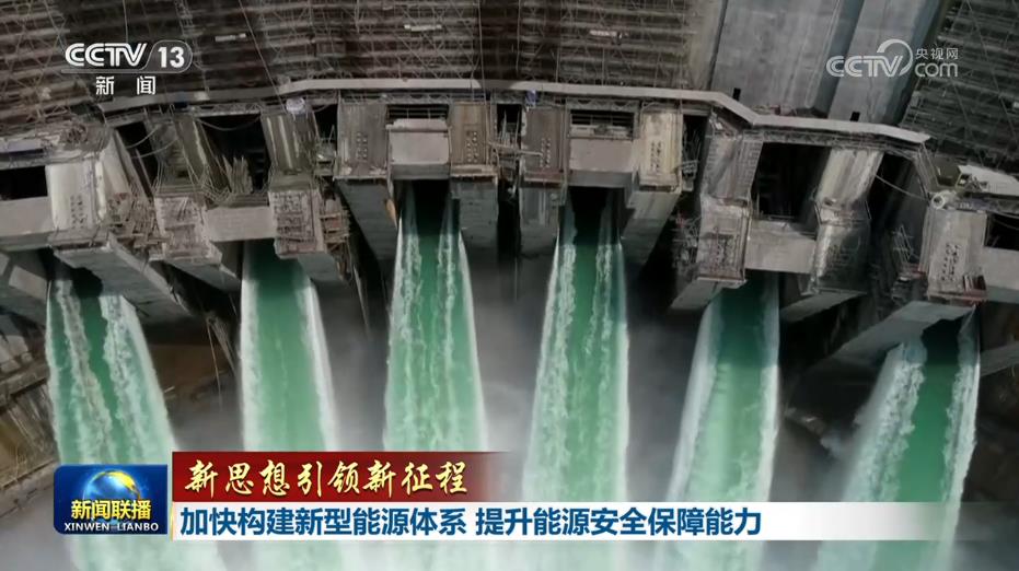 女人与公狍交酡女免费