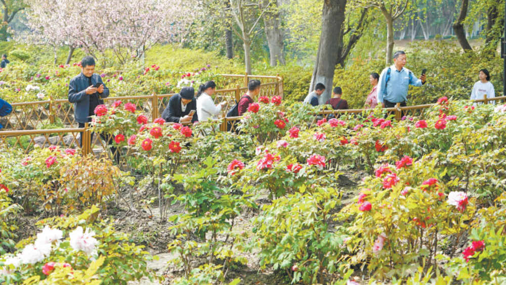 女人与公狍交酡女免费