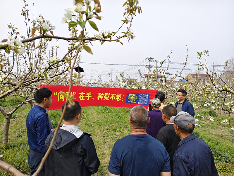 女人与公狍交酡女免费