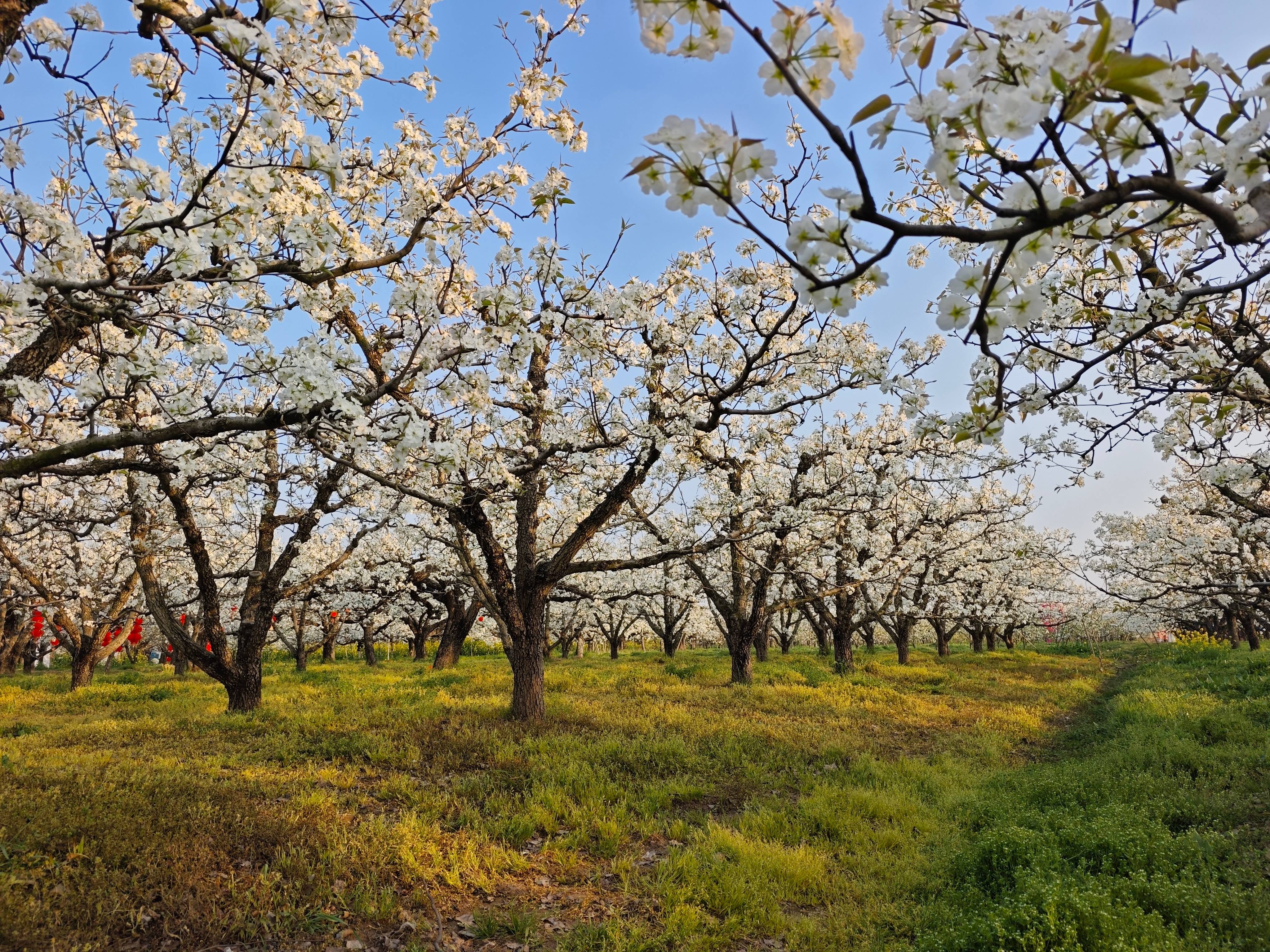 女人与公狍交酡女免费