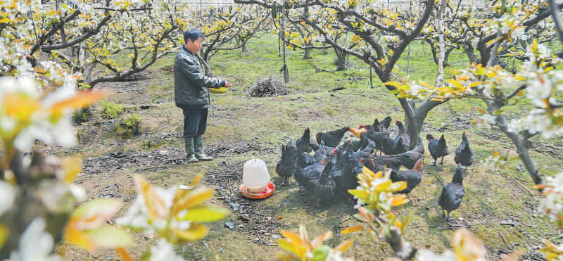 女人与公狍交酡女免费