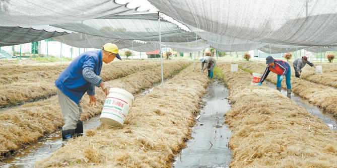 女人与公狍交酡女免费