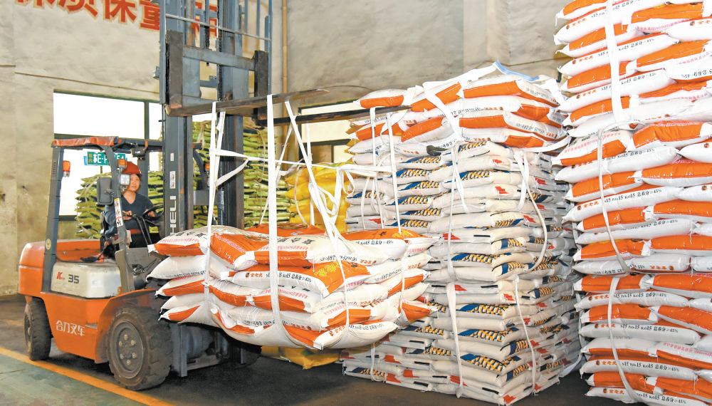 女人与公狍交酡女免费